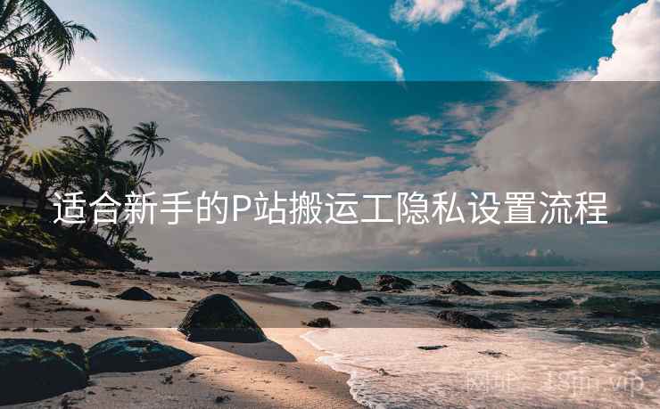 适合新手的P站搬运工隐私设置流程