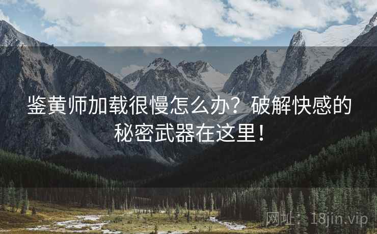 鉴黄师加载很慢怎么办？破解快感的秘密武器在这里！