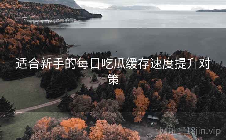 适合新手的每日吃瓜缓存速度提升对策