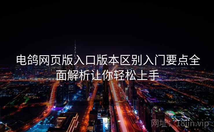电鸽网页版入口版本区别入门要点全面解析让你轻松上手