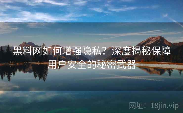 黑料网如何增强隐私？深度揭秘保障用户安全的秘密武器
