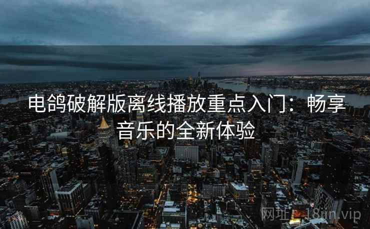电鸽破解版离线播放重点入门：畅享音乐的全新体验