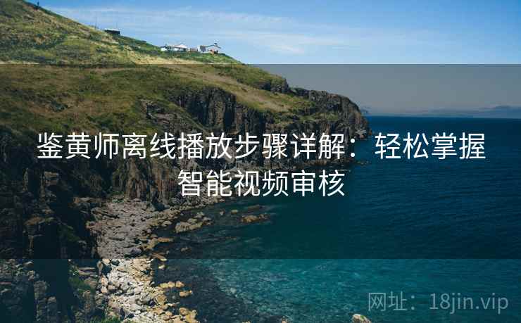鉴黄师离线播放步骤详解：轻松掌握智能视频审核