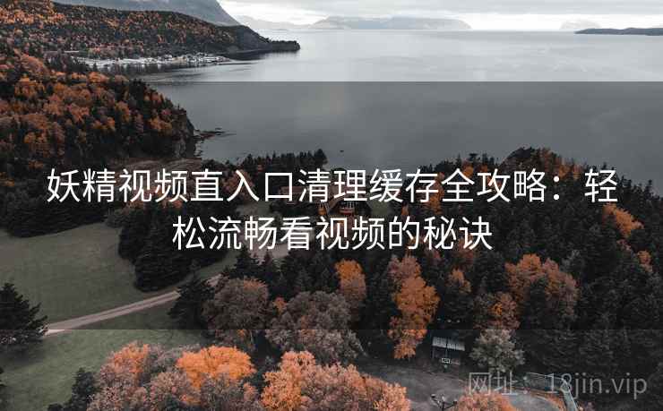 妖精视频直入口清理缓存全攻略：轻松流畅看视频的秘诀
