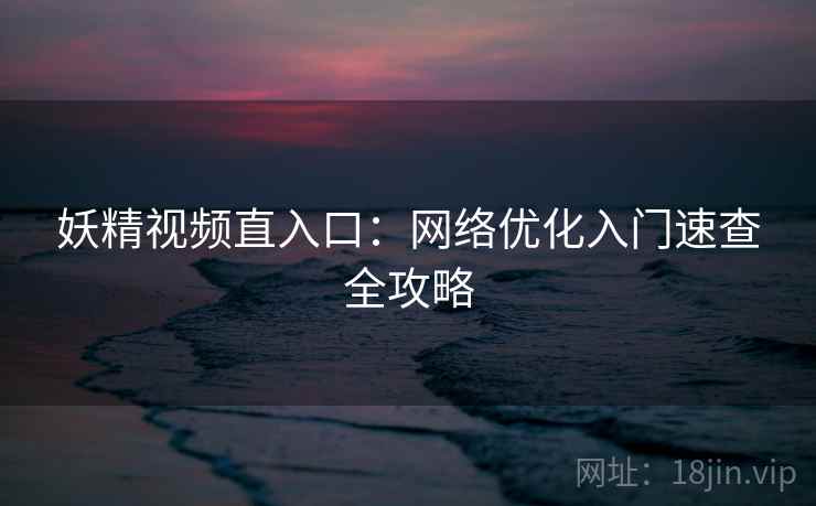 妖精视频直入口：网络优化入门速查全攻略