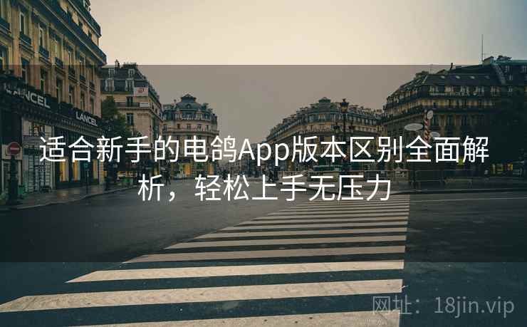 适合新手的电鸽App版本区别全面解析，轻松上手无压力