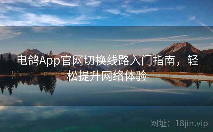 电鸽App官网切换线路入门指南，轻松提升网络体验